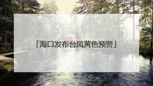 海口发布台风黄色预警